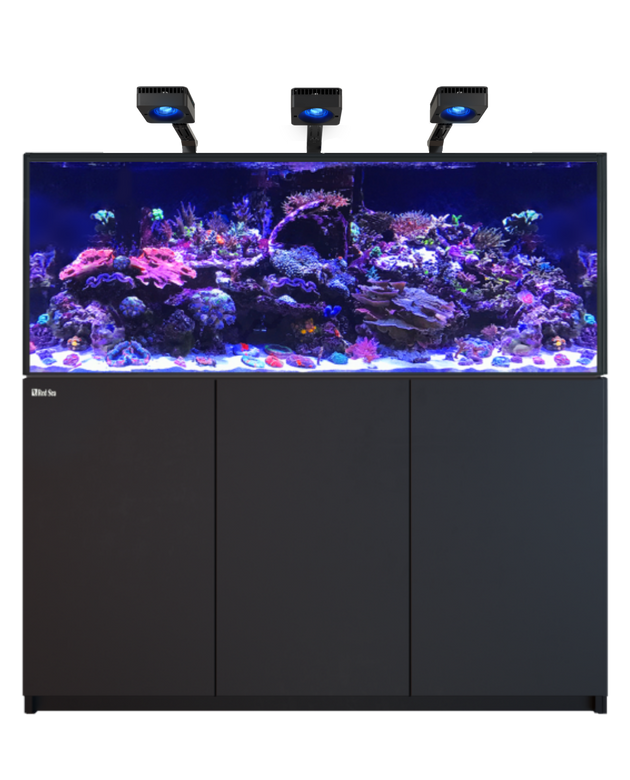 Red Sea REEFER 625 G3 Deluxe - Black (incl. 3 X RL115 & arms)