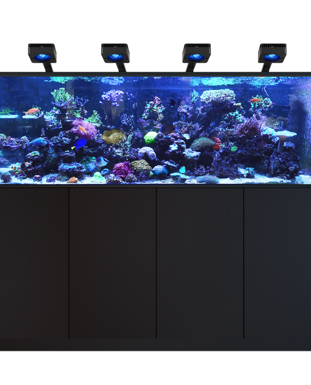 Red Sea REEFER 750 G3 Deluxe - Black (incl. 4 X RL115 & arms)