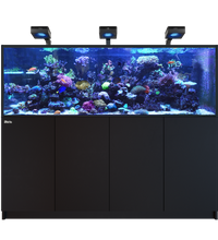 Red Sea REEFER 750 G3 Deluxe - Black (incl. 3 X RL170 & arms)