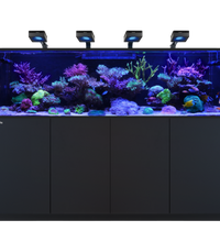 Red Sea REEFER S-1000 G3 Deluxe - Black (incl. 4 X RL170 & arms)
