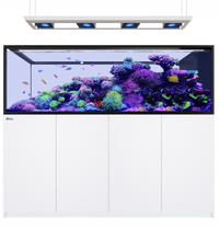 Red Sea REEFER Peninsula S 950 G3 Deluxe - White (inc. 4 X RL170 & pendant)