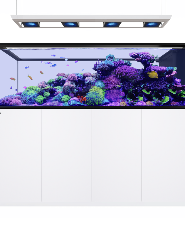 Red Sea REEFER Peninsula S 950 G3 Deluxe - White (inc. 4 X RL170 & pendant)