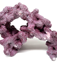 Tropic Eden Morroca Double Cave Rock - One x 6.5-7.5lb Piece - Slight Damage - WYSIWYG