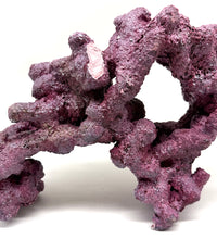 Tropic Eden Morroca Double Cave Rock - One x 6.5-7.5lb Piece - Slight Damage - WYSIWYG