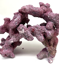 Tropic Eden Morroca Double Cave Rock - One x 6.5-7.5lb Piece - Slight Damage - WYSIWYG