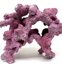 Tropic Eden Morroca Double Cave Rock - One x 6.5-7.5lb Piece - Slight Damage - WYSIWYG