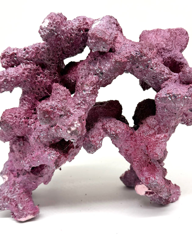 Tropic Eden Morroca Double Cave Rock - One x 6.5-7.5lb Piece - Slight Damage - WYSIWYG