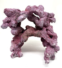 Tropic Eden Morroca Double Cave Rock - One x 6.5-7.5lb Piece - Slight Damage - WYSIWYG