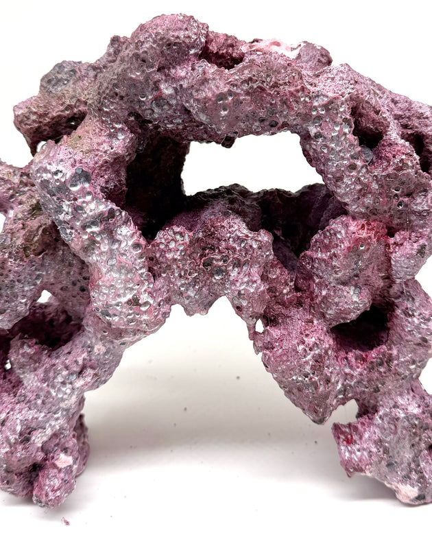 Tropic Eden Morroca Double Cave Rock - One x 6.5-7.5lb Piece - Slight Damage - WYSIWYG