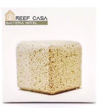 Reef Casa Bacteria Hotel Block