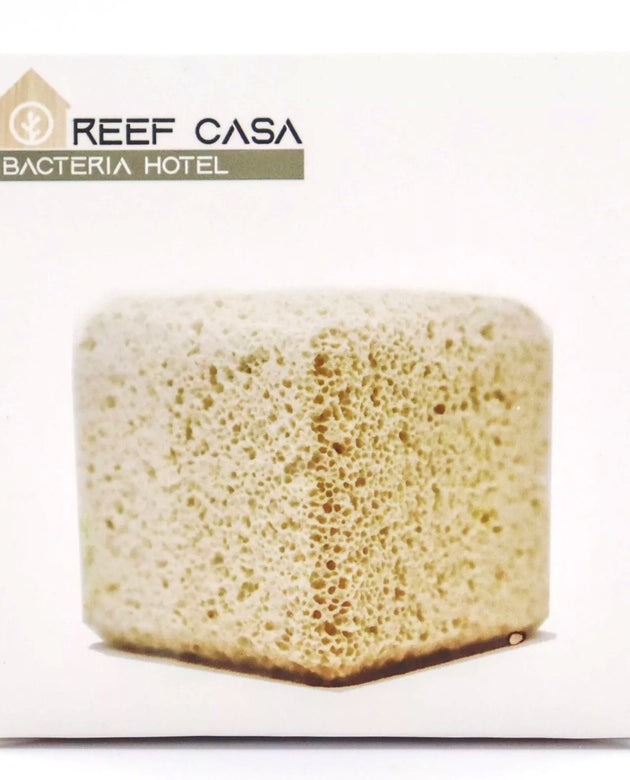 Reef Casa Bacteria Hotel Block