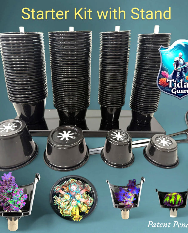 Tidal Guard - Coral Shipping Protection Starter Kit