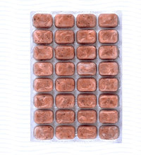 Hikari Bio-PureFrozen Mega-Marine Angel - Cubes - 3.5 oz