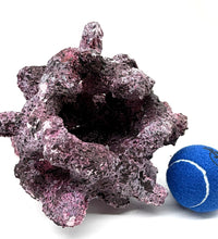 Tropic Eden Morroca Reef Custom Mix - WYSIWYG