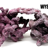 Tropic Eden Morroca Reef Custom Mix - WYSIWYG