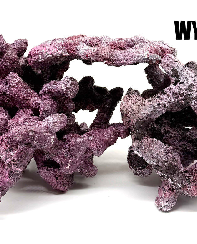 Tropic Eden Morroca Reef Custom Mix - WYSIWYG