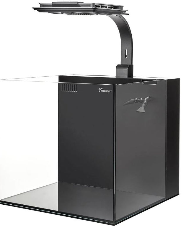 Maxspect Dice AIO 12 Gallon Nano Cube Aquarium w/ MJ-L165 LED