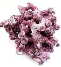 Tropic Eden Morroca Irregular Rock - Medium - ONE Piece (2.5-4.2lbs)