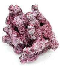 Tropic Eden Morroca Irregular Rock - Medium - ONE Piece (2.5-4.2lbs)