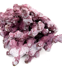 Tropic Eden Morroca Irregular Rock - Medium - ONE Piece (2.5-4.2lbs)