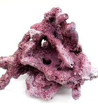 Tropic Eden Morroca Irregular Rock - Medium - ONE Piece (2.5-4.2lbs)