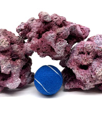 Tropic Eden Morroca Irregular Rock - Small - ONE Piece (1.7-2.2lbs)