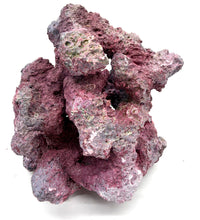 Tropic Eden Morroca Irregular Rock - Small - ONE Piece (1.7-2.2lbs)