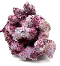 Tropic Eden Morroca Irregular Rock - Small - ONE Piece (1.7-2.2lbs)