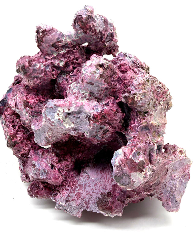 Tropic Eden Morroca Irregular Rock - Small - ONE Piece (1.7-2.2lbs)