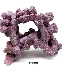 Tropic Eden Morroca Double Cave Rock - One x 6.5-7.5lb Piece - Slight Damage - WYSIWYG