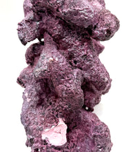 Tropic Eden Morroca Double Cave Rock - One x 6.5-7.5lb Piece - Slight Damage - WYSIWYG