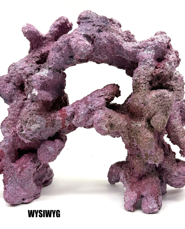 Tropic Eden Morroca Double Cave Rock - One x 6.5-7.5lb Piece - Slight Damage - WYSIWYG