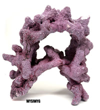 Tropic Eden Morroca Double Cave Rock - One x 6.5-7.5lb Piece - Slight Damage - WYSIWYG