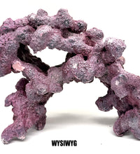 Tropic Eden Morroca Double Cave Rock - One x 6.5-7.5lb Piece - Slight Damage - WYSIWYG