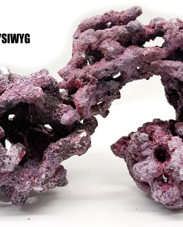 Tropic Eden Morroca Reef Custom Mix - WYSIWYG