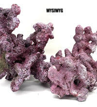 Tropic Eden Morroca Reef Custom Mix - WYSIWYG (see details for pieces)