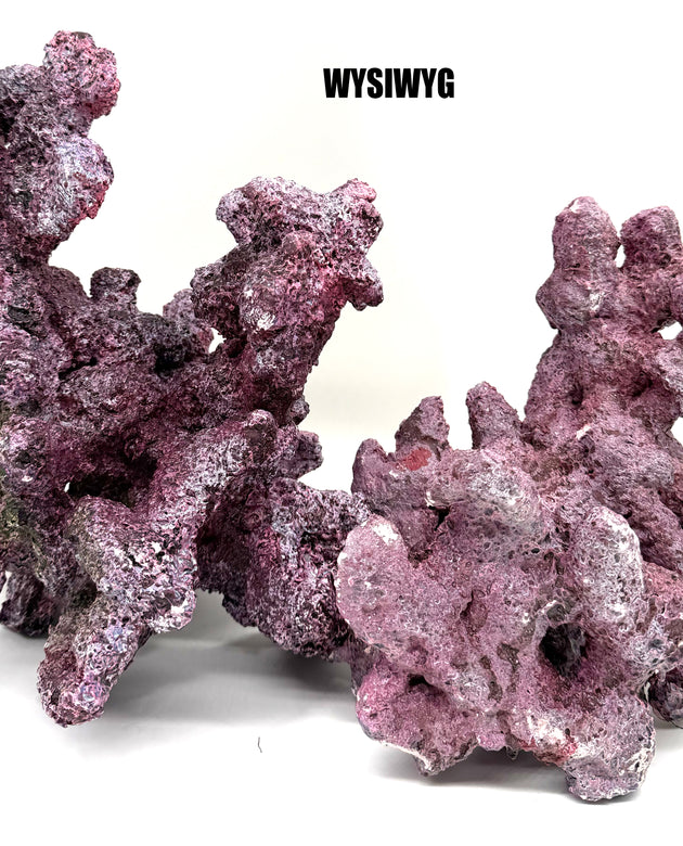 Tropic Eden Morroca Reef Custom Mix - WYSIWYG (see details for pieces)