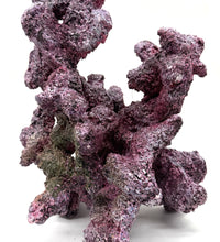 Tropic Eden Morroca Reef Custom Mix - WYSIWYG (see details for pieces)