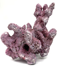 Tropic Eden Morroca Reef Custom Mix - WYSIWYG (see details for pieces)