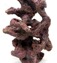 Ecoscape Reef Centerpiece 01 - BRAND NEW NO BOX - WYSIWYG