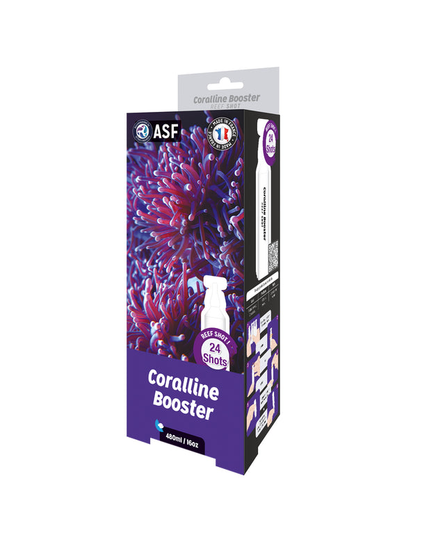 ASF Reef Shots Coraline Booster (24 shots = 16oz)