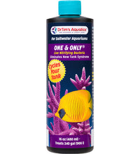 DrTim's Saltwater One & Only (480ml)