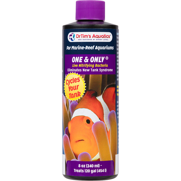DrTim's Reef One & Only (120 gal)