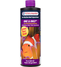 DrTim's Reef One & Only (240 gal)