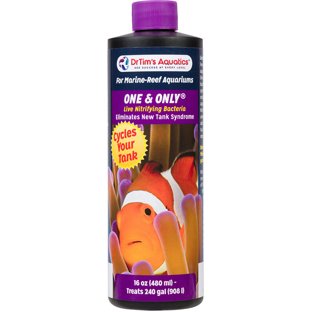 DrTim's Reef One & Only (240 gal)
