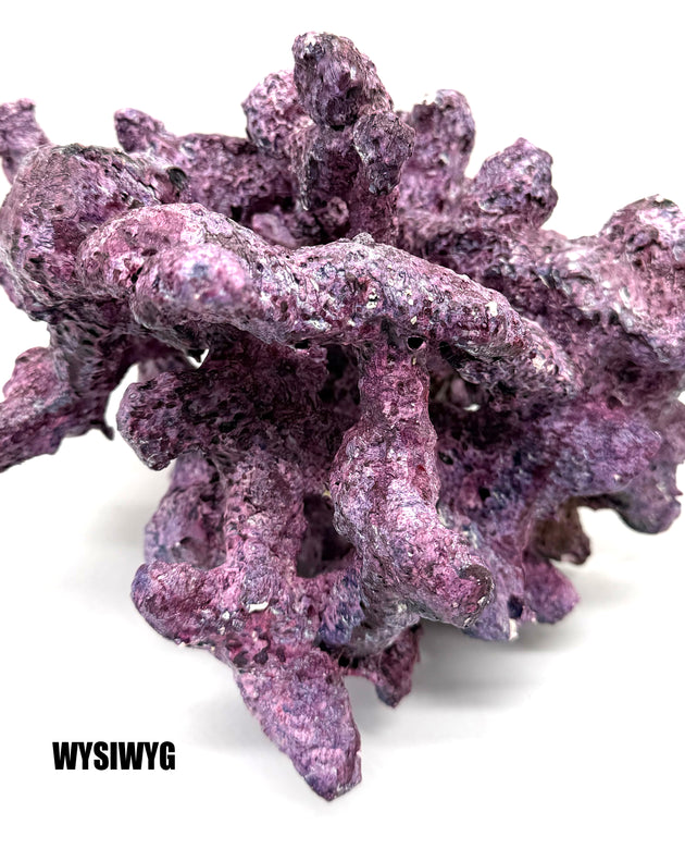 Tropic Eden Morroca Irregular Rock - Large - ONE Piece (approx 5lbs) - Slight Damage - WYSIWYG