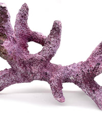 Tropic Eden Morroca Rock - Kraken Branch 14