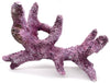 Tropic Eden Morroca Rock - Kraken Branch 14"-15" ONE Piece plus FREE 10-12" Tripod Branch