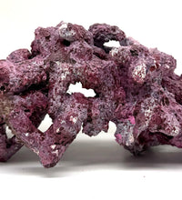 Tropic Eden Morroca Single Cave Rock -  ONE- Piece (2-2.5bs) - WYSIWYG