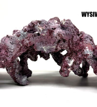 Tropic Eden Morroca Single Cave Rock -  ONE- Piece (2-2.5bs) - WYSIWYG